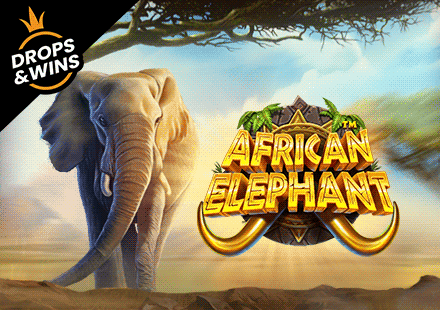AFRİCAN ELEPHANT